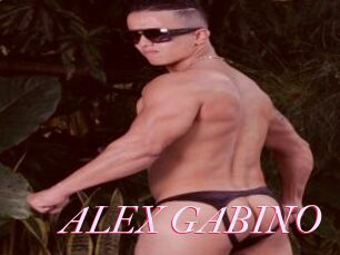 ALEX_GABINO