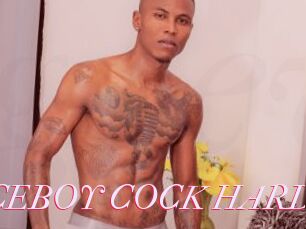 ARON_NICEBOY_COCK_HARD