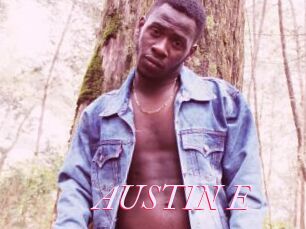 AUSTIN_E
