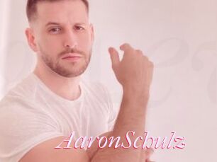 AaronSchulz