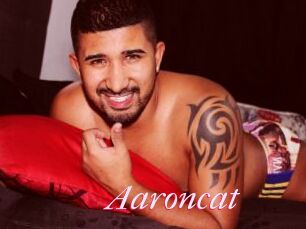 Aaroncat