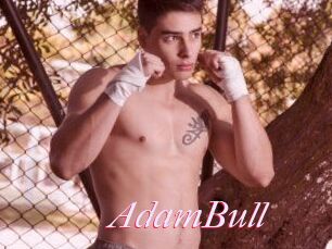 AdamBull