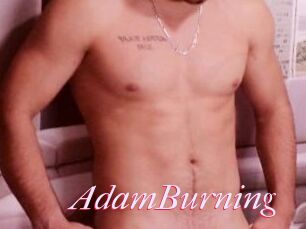 AdamBurning