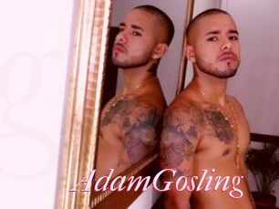 AdamGosling