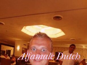 Alfamale_Dutch