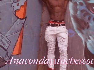 Anaconda11inchescock