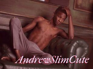 AndrewSlimCute