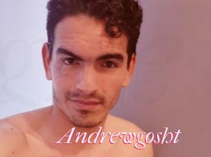 Andrewgosht