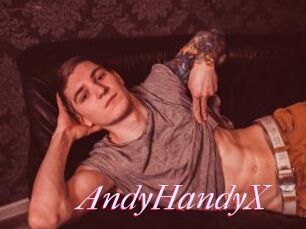 AndyHandyX