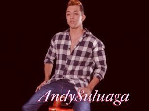 AndySuluaga