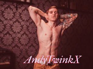 AndyTwinkX