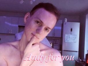 Andy_for_you