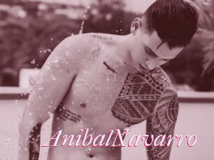 AnibalNavarro