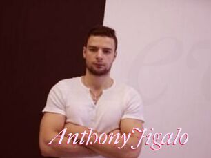AnthonyJigalo