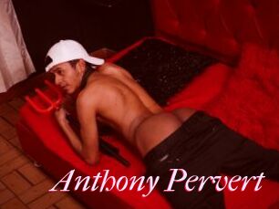 Anthony_Pervert