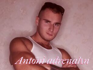Antoni_adrenal1n