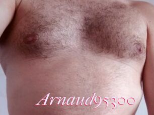 Arnaud95300