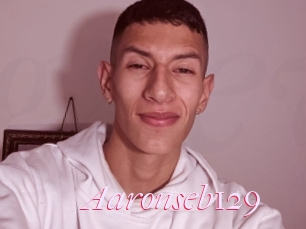 Aaronseb129