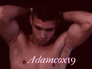 Adamcox19