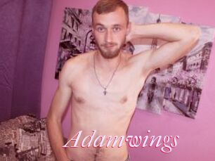 Adamwings