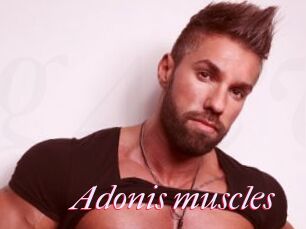 Adonis_muscles