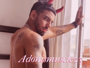 Adonismuscle23