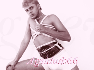 Agnidush66