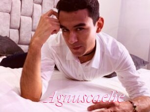 Agnuscaelie
