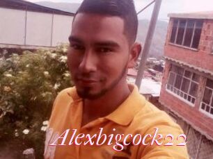 Alexbigcock22