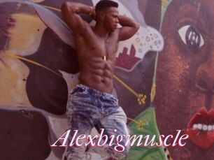 Alexbigmuscle