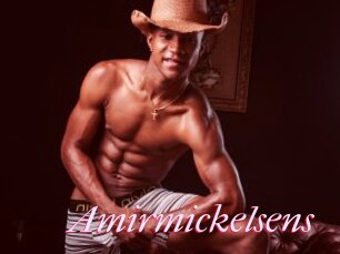 Amirmickelsens