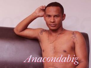 Anacondabig