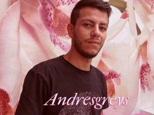 Andresgreys