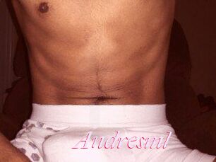 Andresml