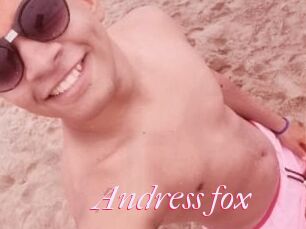 Andress_fox