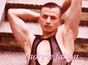 Andrew_falcon