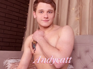 Andycatt