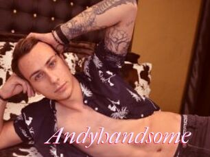 Andyhandsome
