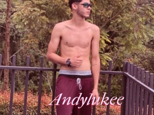 Andylukee