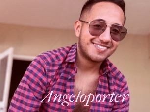 Angeloporter