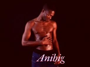 Anibig