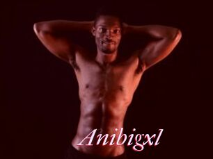 Anibigxl