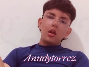 Anndytorrez