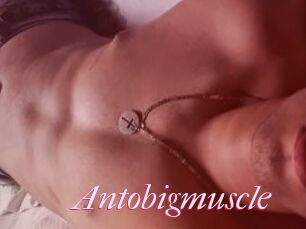 Antobigmuscle