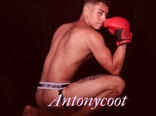 Antonycoot