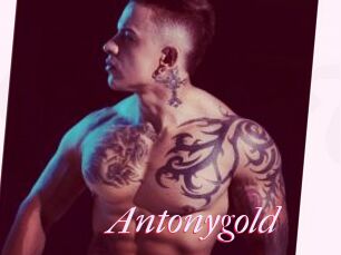 Antonygold