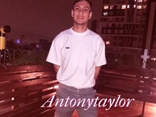 Antonytaylor