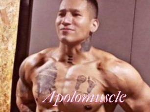 Apolomuscle