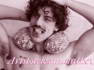 Aristotelesmustache18