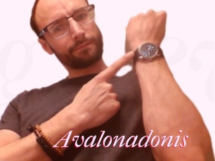 Avalonadonis